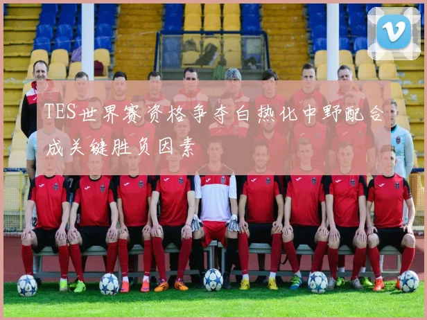 TES世界赛资格争夺白热化中野配合成关键胜负因素